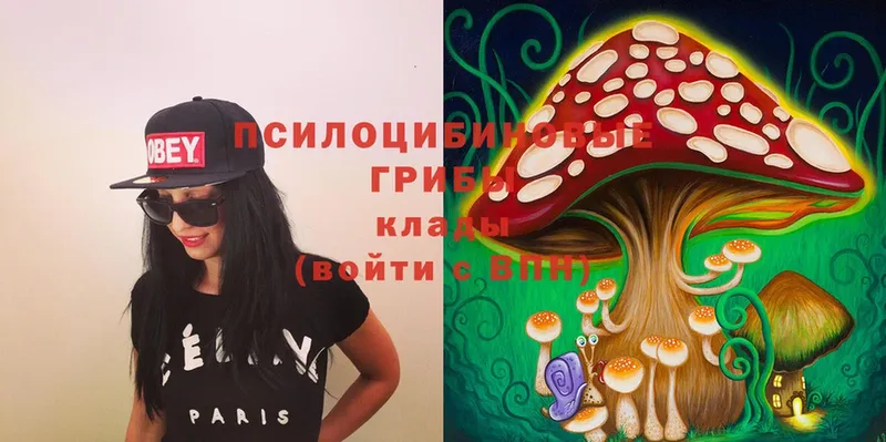 продажа наркотиков  Медынь  нарко площадка формула  Псилоцибиновые грибы Magic Shrooms 